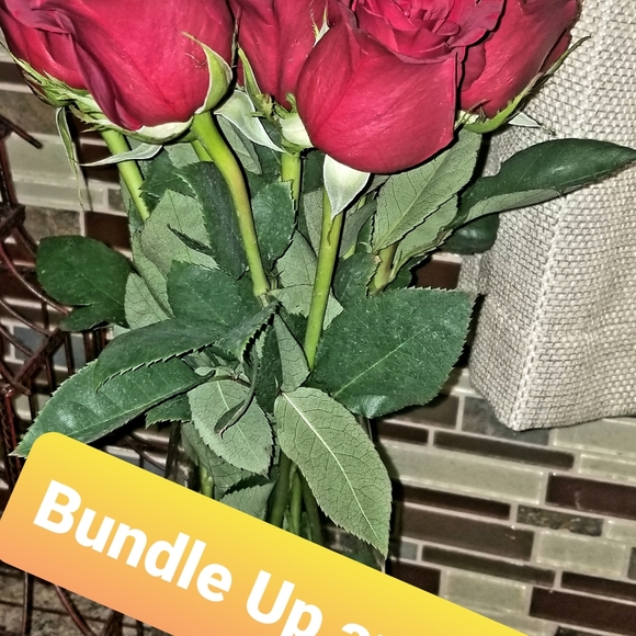 Meet your Posher, Carla - Picture 1 of 1